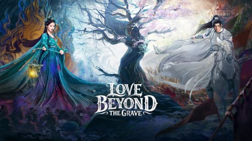 白日提灯​ Bild 2