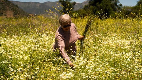 La casa, el lago y el trigo Bild 1