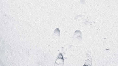 The Lost Season Bild 2