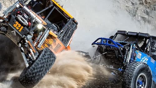 Kings of the desert Bild 1