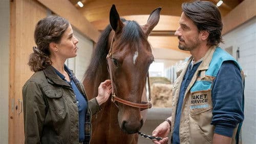 2 unter Millionen Bild 7