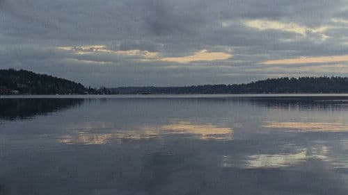 Lake Forest Park Bild 3