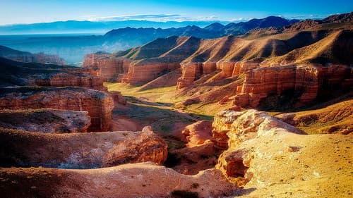 Wilde Schönheiten Bild 2