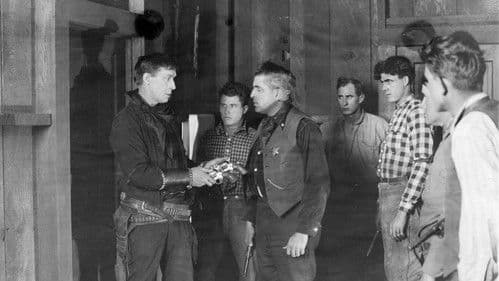 The Toll Gate Bild 4