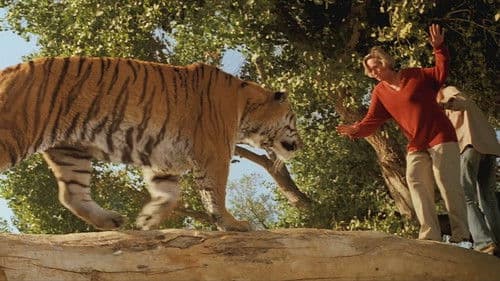 Roar - Die Löwen sind los Bild 5