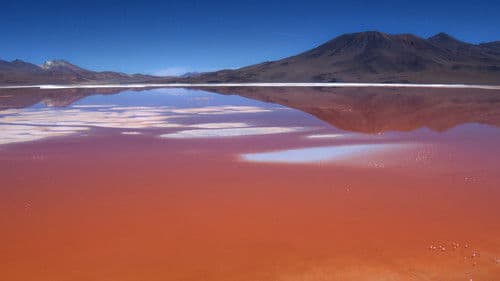 The Wild Andes Bild 3