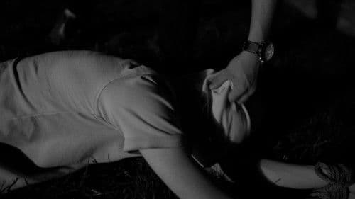 Finding Feathers Bild 1