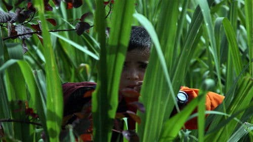 Los colores de la montaña Bild 6