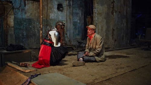 The Night Train Bild 3