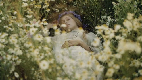 Раскиданное гнездо Bild 1