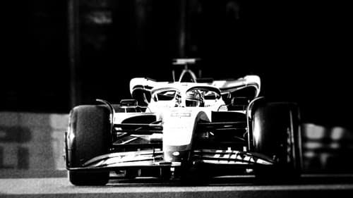 Schumacher & Schumacher Bild 2