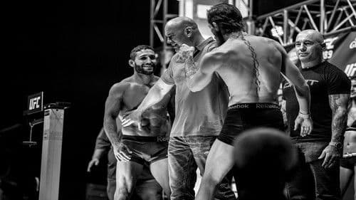 UFC 189: Mendes vs. McGregor Bild 2