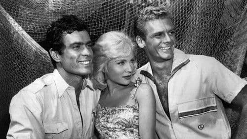 Adventures in Paradise Bild 3