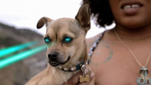 We Only Sleep on Xanny Bars and Then We Don't Dream Bild 2