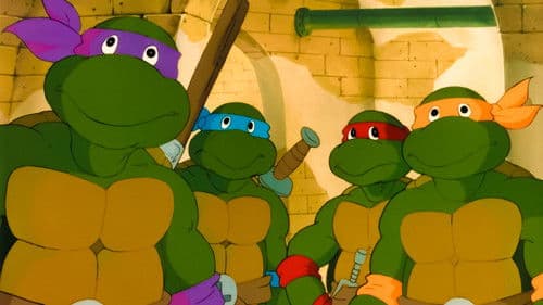 Teenage Mutant Hero Turtles Bild 5