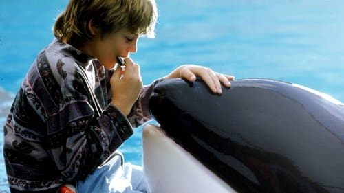 Free Willy - Ruf der Freiheit Bild 1