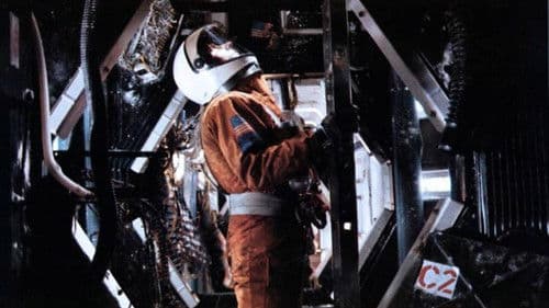 Das Arche Noah Prinzip Bild 5