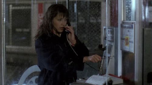 Die Studentin Bild 3