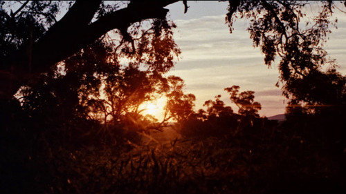 Mad Dog - Der Rebell Bild 6