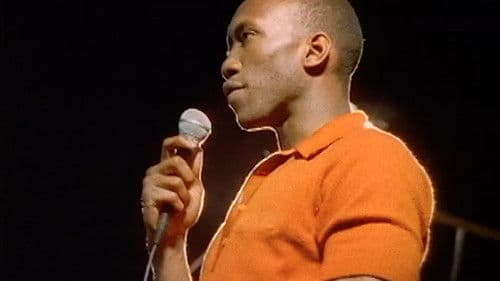 Taste the Revolution Bild 1