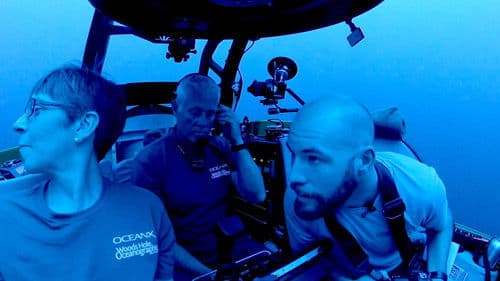 Ocean Emergency: Currents of Hope Bild 1