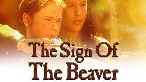 Kampf ums Überleben Bild 5