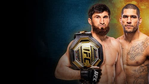 UFC 320: Ankalaev vs. Pereira 2 Bild 6