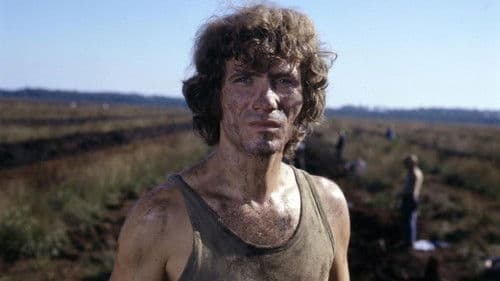 Die Verrohung des Franz Blum Bild 1