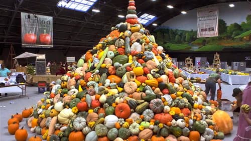 Unser Saatgut - Wir ernten, was wir säen Bild 5