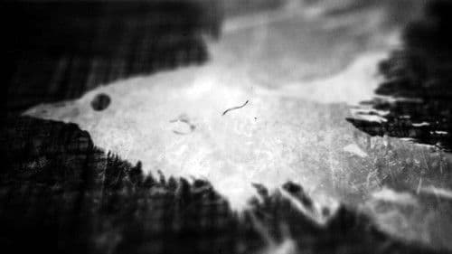 Ted Hughes: Stronger Than Death Bild 1