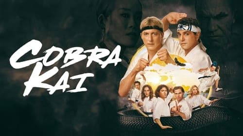 Cobra Kai Bild 7