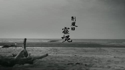 他們在島嶼寫作：削瘦的靈魂 Bild 2