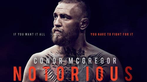 Conor McGregor Bild 8
