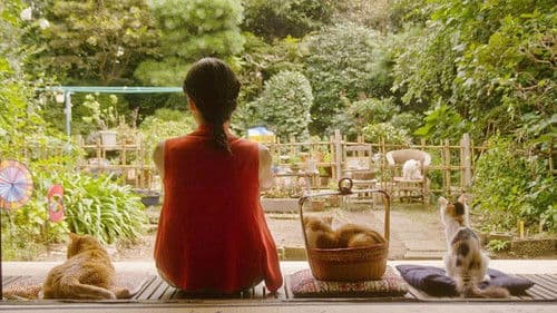 レンタネコ Bild 2