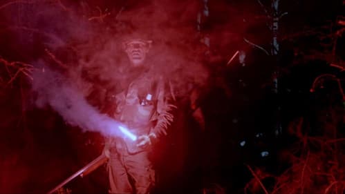 Die Brut des Adlers Bild 3