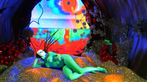 Video Diary of a Lost Girl Bild 2