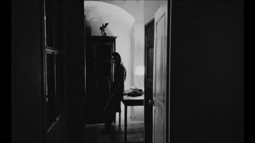 CATABASE FIRST PART - AD LOVE Bild 1