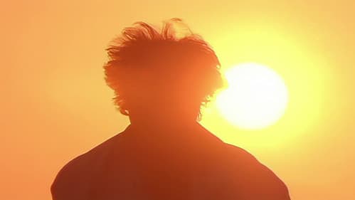 தளபதி Bild 2