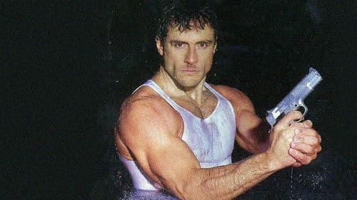 CatalinaVille Bild 1