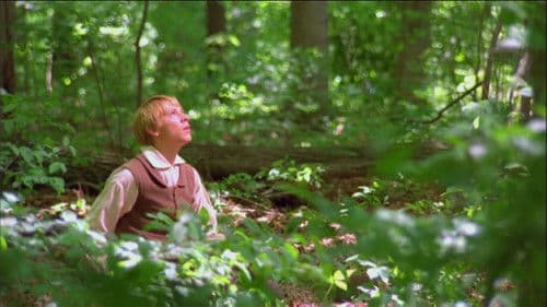 Joseph Smith: The Prophet of the Restoration Bild 1