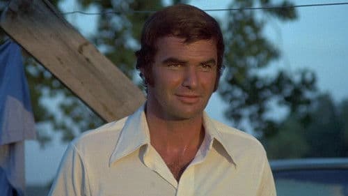 Der Tiger hetzt die Meute Bild 8