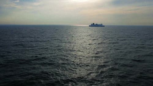 The Most Dangerous Game - Ein tödliches Spiel Bild 3