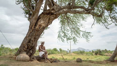 கடைசி விவசாயி Bild 4