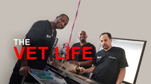 Die Tierärzte von Houston Bild 7