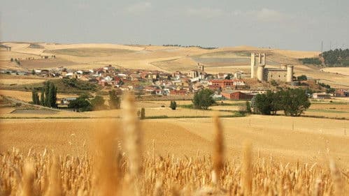 Bienvenido Mr. Heston Bild 1