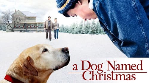 Ein Hund namens Weihnachten Bild 2