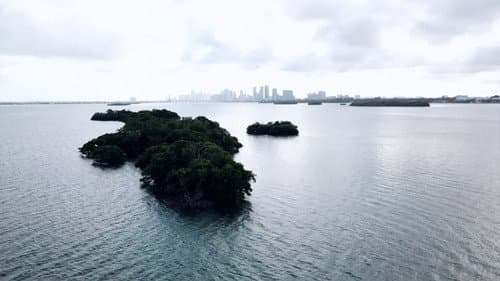 Remembering Surrounded Islands Bild 5