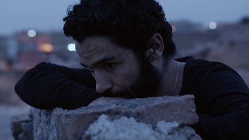 Shouted from the Rooftops Bild 1