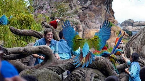 Die Magie von Disney's Animal Kingdom Bild 3