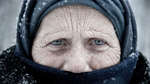 Χαμομήλι Bild 2